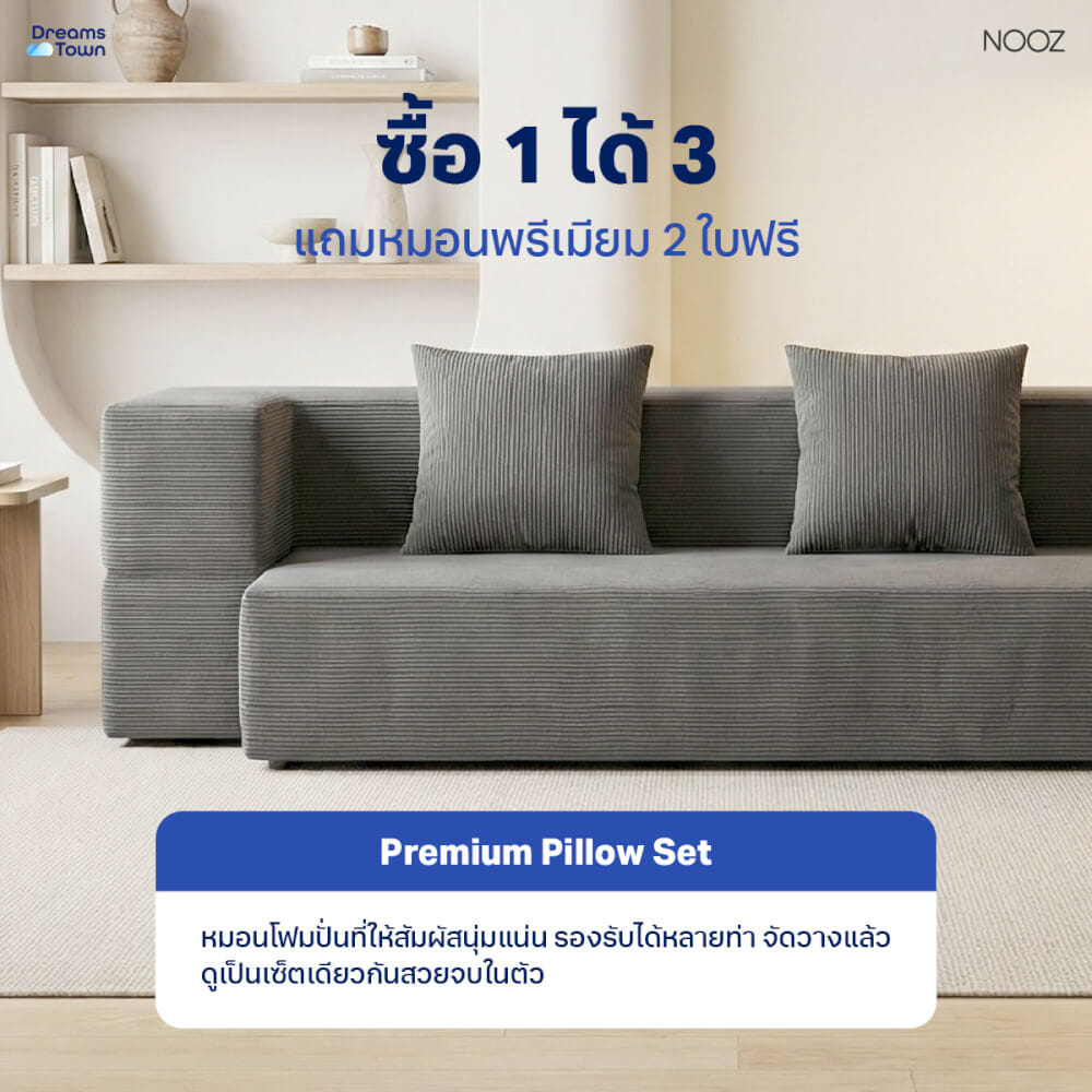 โซฟาเบด 2 IN 1 NOOZ SOFA BED สีเทา_3